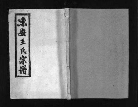 湖北王氏族谱-东安王氏宗谱 [3卷](别名：东安王氏甲戌十修宗谱、东安王氏甲戌十修宗谱德宏支房、DongAn Wang Shi Zong Pu、王氏宗谱、东安王氏宗谱).pdf电子版预览图1