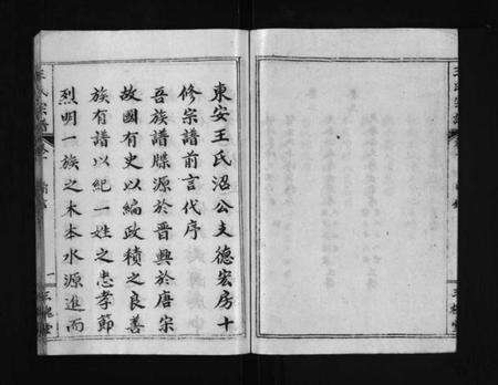 湖北王氏族谱-东安王氏宗谱 [3卷](别名：东安王氏甲戌十修宗谱、东安王氏甲戌十修宗谱德宏支房、DongAn Wang Shi Zong Pu、王氏宗谱、东安王氏宗谱).pdf电子版预览图5