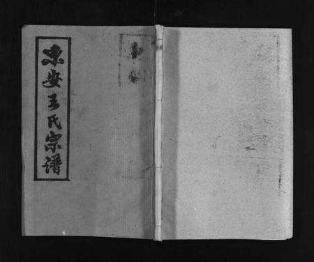 湖北王氏族谱-东安王氏宗谱 [5卷,首1卷](别名：东安王氏癸酉宗谱、东安王氏宗谱癸酉节孝房支、Dongan Wang Shi Zong Pu、王氏统宗谱、东安王氏宗谱).pdf电子版预览图1