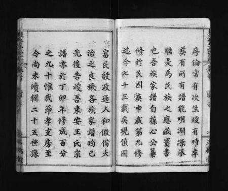 湖北王氏族谱-东安王氏宗谱 [5卷,首1卷](别名：东安王氏癸酉宗谱、东安王氏宗谱癸酉节孝房支、Dongan Wang Shi Zong Pu、王氏统宗谱、东安王氏宗谱).pdf电子版预览图4