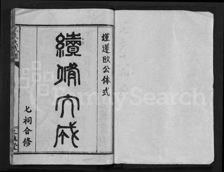 湖北王氏族谱-王氏大成谱 [82卷](别名：王氏宗谱、Wang Shi Da Cheng Pu).pdf电子版预览图1