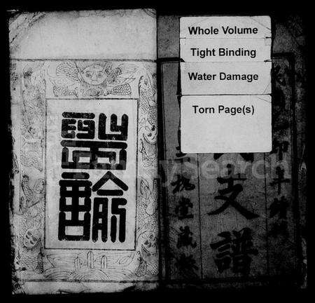 湖北王氏族谱-王氏宗谱 [16卷,及卷首](别名：王氏支谱).pdf电子版预览图2