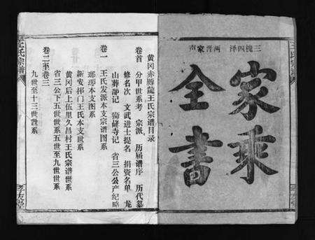 湖北王氏族谱-王氏宗谱 [28卷,首1卷](别名：黄冈赤膊龙王氏宗谱、Wang Shi Zong Pu).pdf电子版预览图2