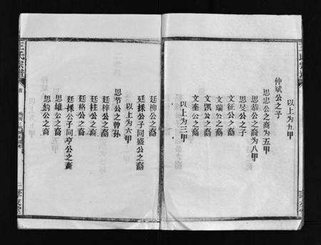 湖北王氏族谱-王氏宗谱 [28卷,首1卷](别名：黄冈赤膊龙王氏宗谱、Wang Shi Zong Pu).pdf电子版预览图5