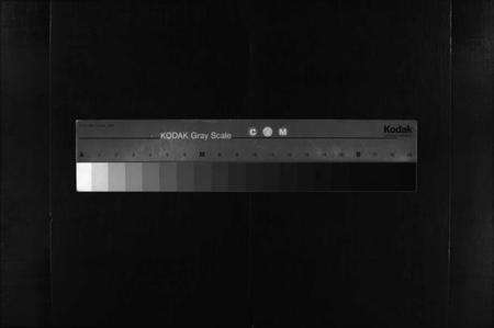 湖北王氏族谱-王氏宗谱 [3卷,首1卷](别名：王氏宗谱金奎房支分续修、王氏宗谱、Wang Shi Zong Pu).pdf电子版缩略图