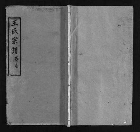 湖北王氏族谱-王氏宗谱 [3卷,首1卷](别名：王氏宗谱金奎房支分续修、王氏宗谱、Wang Shi Zong Pu).pdf电子版预览图1