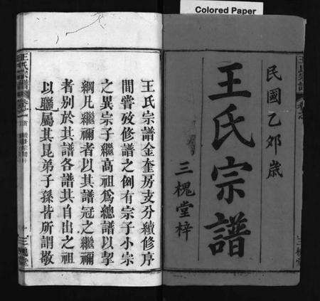 湖北王氏族谱-王氏宗谱 [3卷,首1卷](别名：王氏宗谱金奎房支分续修、王氏宗谱、Wang Shi Zong Pu).pdf电子版预览图2