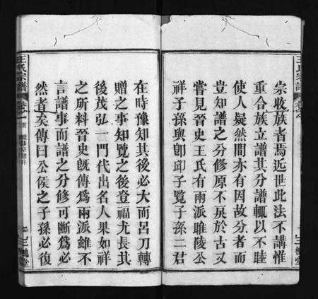 湖北王氏族谱-王氏宗谱 [3卷,首1卷](别名：王氏宗谱金奎房支分续修、王氏宗谱、Wang Shi Zong Pu).pdf电子版预览图3