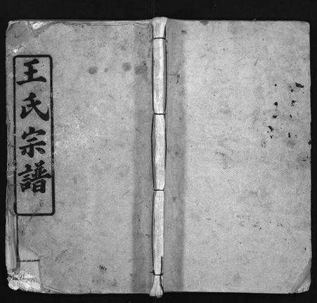 湖北王氏族谱-王氏宗谱 [5卷,首1卷](别名：Wang Shi Zong Pu).pdf电子版预览图1