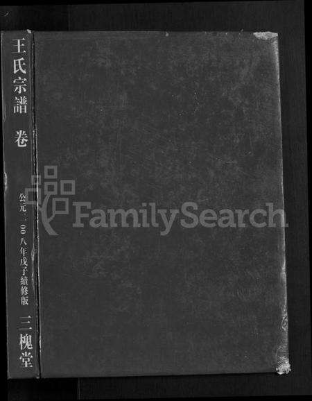 湖北王氏族谱-王氏宗谱 [74卷](别名：Wang Shi Zong Pu).pdf电子版预览图1