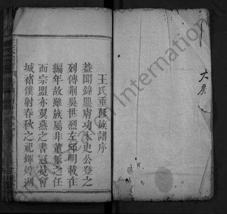 湖北王氏族谱-王氏宗谱 [8卷,首1卷](别名：义水王氏宗谱、Wang Shi Zong Pu).pdf电子版预览图1