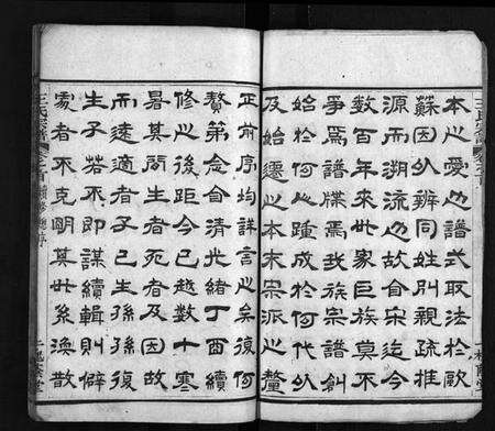 湖北王氏族谱-王氏宗谱 [8卷,首3卷](别名：Wang Shi Zong Pu).pdf电子版预览图4
