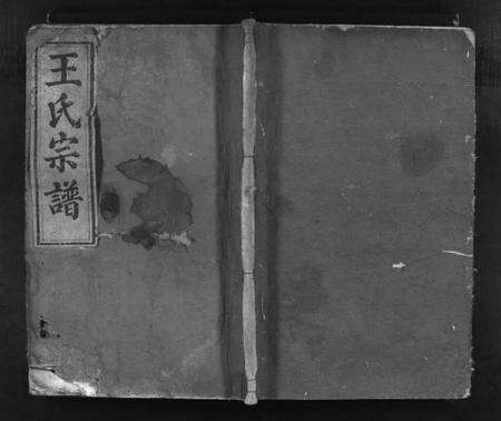 湖北王氏族谱-王氏宗谱 [8卷](别名：Wang Shi Zong Pu).pdf电子版预览图1