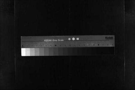 湖北王氏族谱-王氏宗谱 [9卷](别名：Wang Shi Zong Pu).pdf电子版缩略图