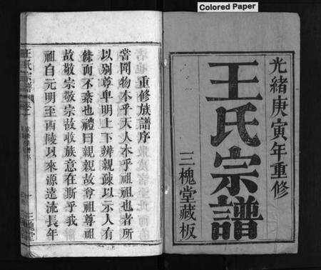 湖北王氏族谱-王氏宗谱 [9卷](别名：Wang Shi Zong Pu).pdf电子版预览图2