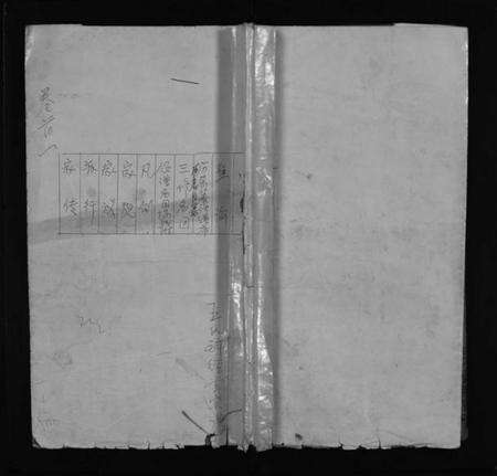 湖北王氏族谱-王氏宗谱 [不分卷](别名：王氏续修宗谱、Wang Shi Zong Pu).pdf电子版预览图1