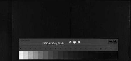 湖北王氏族谱-王氏宗谱[12卷](别名：Wong Shi Zong Pu).pdf电子版缩略图
