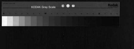 湖北王氏族谱-王氏宗谱[13卷,首3卷](别名：Wong Shi Zu Pu).pdf电子版缩略图