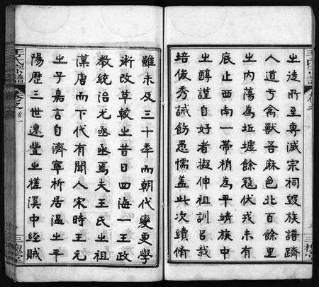 湖北王氏族谱-王氏宗谱[13卷,首3卷](别名：Wong Shi Zu Pu).pdf电子版预览图5