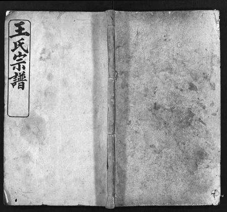 湖北王氏族谱-王氏宗谱[7卷,首1卷](别名：Wang Shi Zong Pu).pdf电子版预览图1