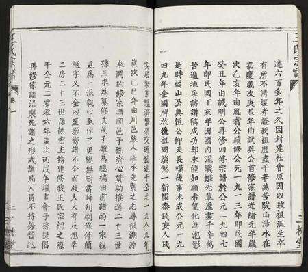 湖北王氏族谱-王氏支谱 [16卷](别名：王氏宗谱、王氏宗谱).pdf电子版预览图5