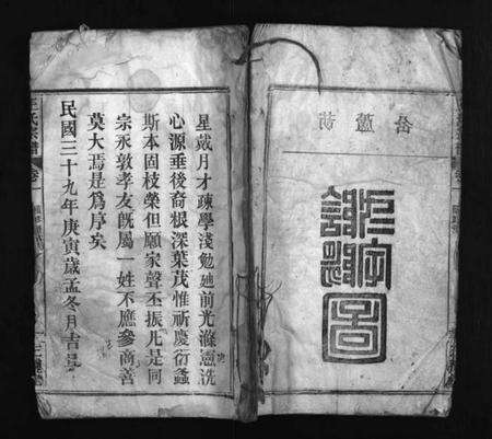 湖北王氏族谱-王氏族谱 [8卷](别名：Wang Shi Zu Pu、王氏宗谱).pdf电子版预览图1