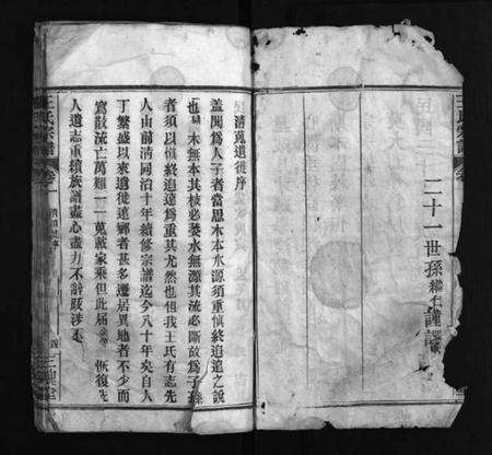 湖北王氏族谱-王氏族谱 [8卷](别名：Wang Shi Zu Pu、王氏宗谱).pdf电子版预览图3