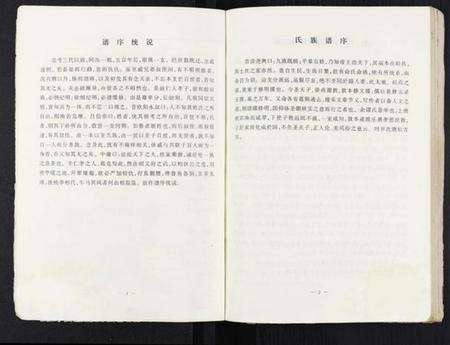 江苏魏氏族谱-魏姓家史 [不分卷](Wei Xing Jia Shi).pdf电子版预览图4