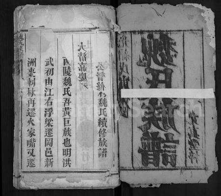 湖北魏氏族谱-魏氏族谱 [11卷,首3卷](别名：黄冈柳村魏氏续修族谱).pdf电子版预览图2