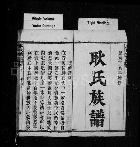 湖北吴氏族谱-吴氏宗谱 [残卷](别名：黄陂吴氏三分大房创修宗谱).pdf电子版预览图4