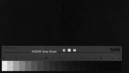 湖北吴氏族谱-吴氏宗谱 [12卷,首2卷](别名：黄冈吴氏宗谱、Wu Shi Zong Pu、吴氏宗谱).pdf电子版缩略图