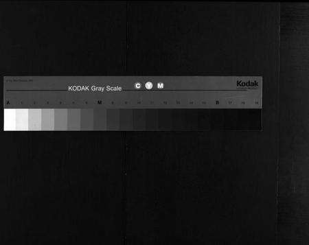 湖北吴氏族谱-吴氏族谱[10卷,含首2卷](别名：Wu Shi Zong Pu).pdf电子版缩略图