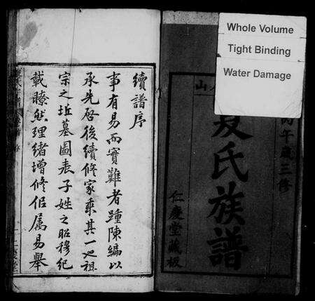 湖北夏氏族谱-夏氏宗谱 [13卷,首1卷](别名：夏氏族谱).pdf电子版预览图2