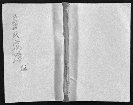 湖北夏氏族谱-夏氏宗谱 [15卷,首2卷](别名：Xia Shi Zong Pu).pdf电子版预览图1