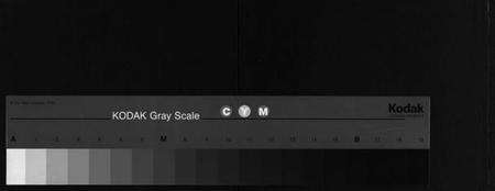 湖北夏氏族谱-夏氏宗谱 [29卷,首2卷](别名：麻邑牌楼河夏氏宗谱、Xia Shi Zong Pu).pdf电子版缩略图