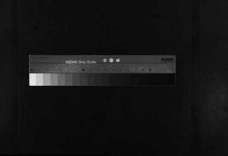 湖北夏氏族谱-鹤山夏氏宗谱 [60卷,卷首按支分卷](别名：He Shan Xia Shi Zong Pu、鹤山夏氏四修宗谱、鹤山夏氏宗谱).pdf电子版缩略图