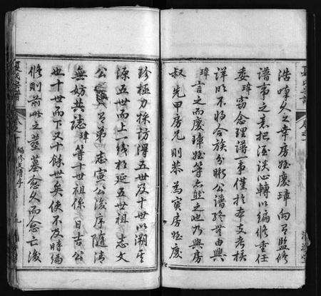 湖北夏氏族谱-夏氏宗谱 [11卷,首2卷](别名：濂初公三祭合修宗谱、Xia Shi Zong Pu).pdf电子版预览图3