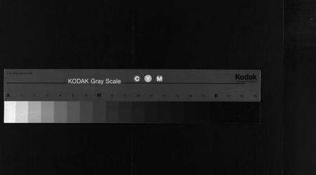 湖北夏氏族谱-夏氏宗谱 [11卷,首3卷](别名：Xia Shi Zong Pu).pdf电子版缩略图