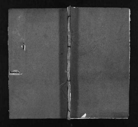 湖北谢氏族谱-杨氏宗谱 [10卷](别名：杨氏续修宗谱、Yang Shi Zong Pu、杨氏宗谱).pdf电子版预览图1