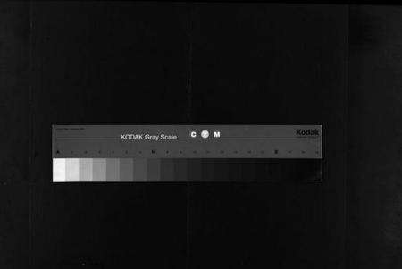 湖北徐氏族谱-徐氏重修族谱 [20卷](别名：桃林河徐氏族谱、徐氏四修族谱、Xu Shi Chong Xiu Zu Pu).pdf电子版缩略图