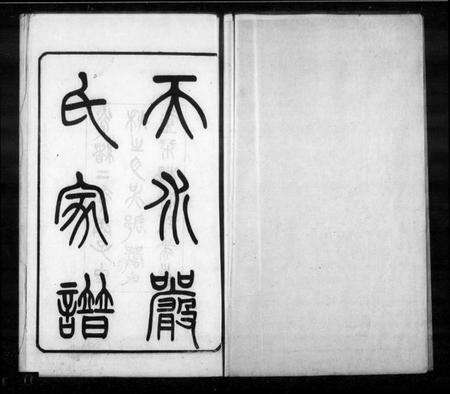 江苏严氏族谱-天水严氏家谱 [16卷](别名：严氏家谱).pdf电子版缩略图