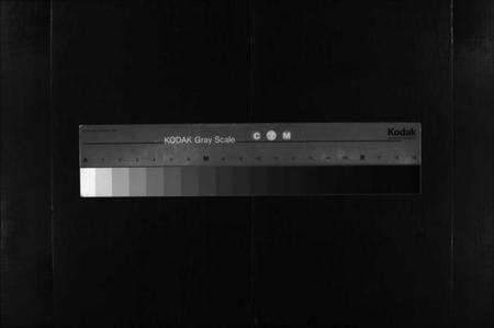 湖北严氏族谱-严氏宗谱 [9卷,首3卷](别名：Yan Shi Zong Pu、严氏宗谱).pdf电子版缩略图