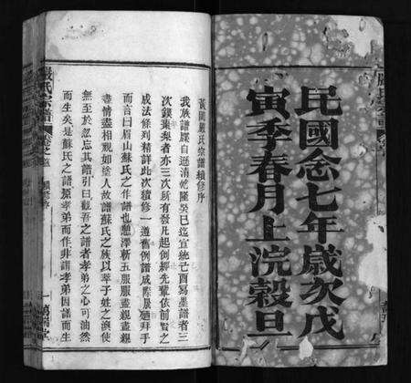 湖北严氏族谱-黄冈严氏宗谱 [15卷,首4卷](别名：严氏宗谱、Huanggang Yan Shi Zong Pu、黄冈严氏宗谱).pdf电子版预览图2