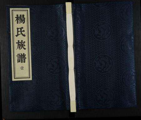 江苏杨氏族谱-杨氏族谱 [8卷](别名：维扬江都杨氏重修族谱).pdf电子版缩略图