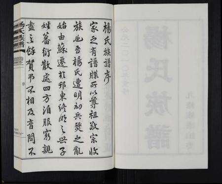 江苏杨氏族谱-杨氏族谱 [8卷](别名：维扬江都杨氏重修族谱).pdf电子版预览图2