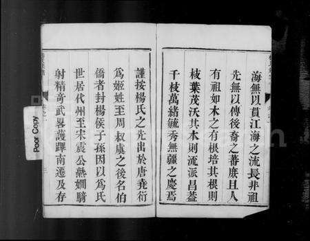 江苏杨氏族谱-润州杨氏族谱 [4卷](别名：杨氏族谱).pdf电子版预览图5