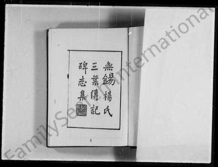 江苏杨氏族谱-无锡杨氏三叶传记碑志集(近代中国史料丛刊).pdf电子版预览图3