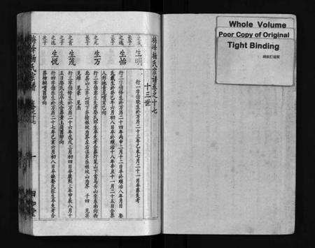 湖北杨氏族谱-梅峰杨氏宗谱(别名：Mei Feng Yang Shi Zong Pu、杨氏宗谱、杨氏八修宗谱).pdf电子版预览图2