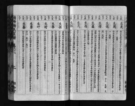 湖北杨氏族谱-梅峰杨氏宗谱(别名：Mei Feng Yang Shi Zong Pu、杨氏宗谱、杨氏八修宗谱).pdf电子版预览图3