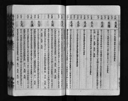 湖北杨氏族谱-梅峰杨氏宗谱(别名：Mei Feng Yang Shi Zong Pu、杨氏宗谱、杨氏八修宗谱).pdf电子版预览图4